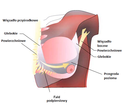 pieluchy prefold