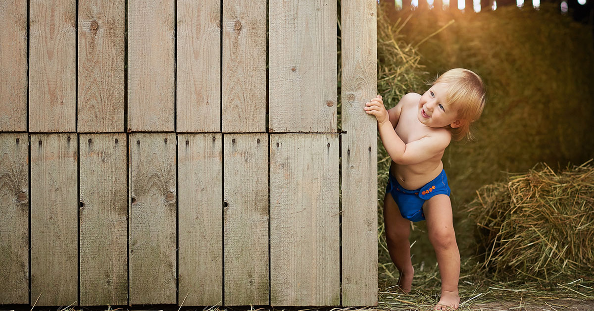 biedronka pieluchomajtki pampers mega box