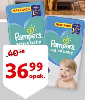 pampers for horses