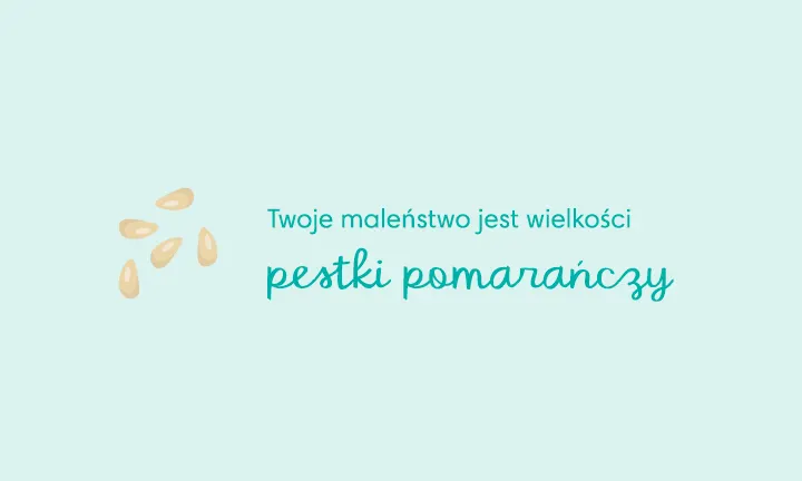 kalkulator ciąży i porodu pampers