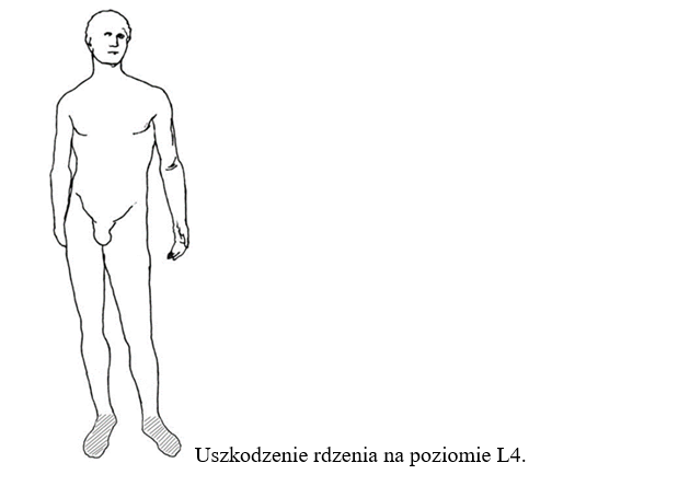 czy w aptece można kupić pampersy