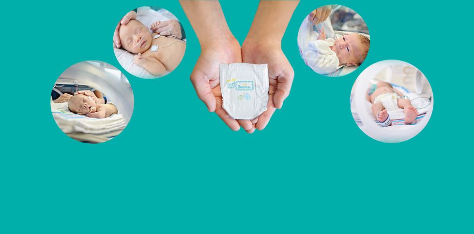 pampers premium care pants 4 cena 44 szt