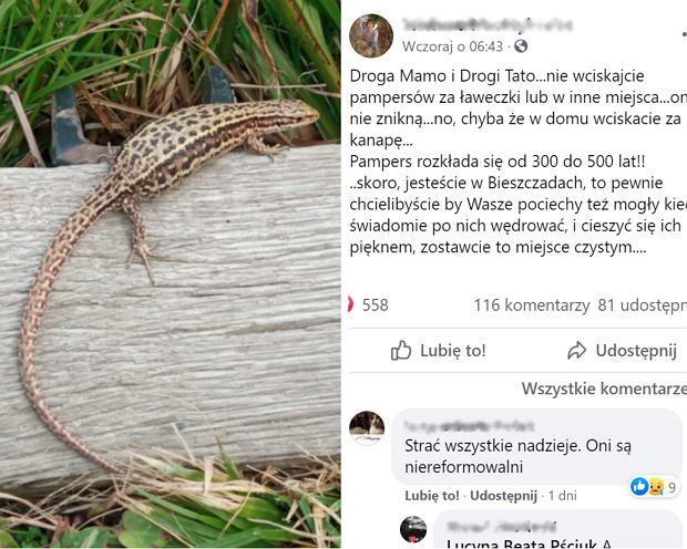 chusteczki pampers czteropak