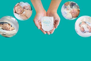 pieluchy pampers premium care 1 promocja