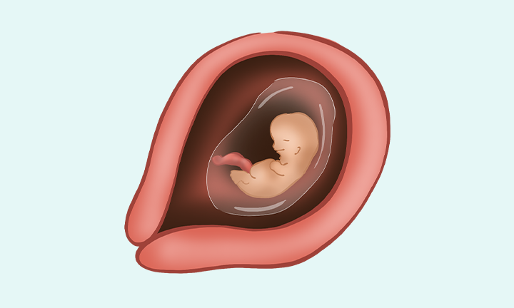 BabyOno 1460 Miękka silikonowa łyżka