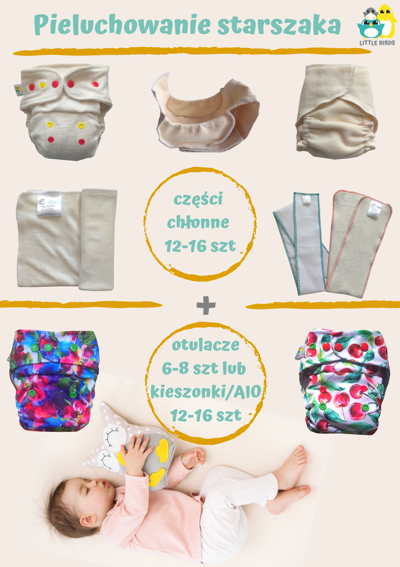 pampers pants 31